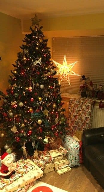 Christmas at the refuge 2025